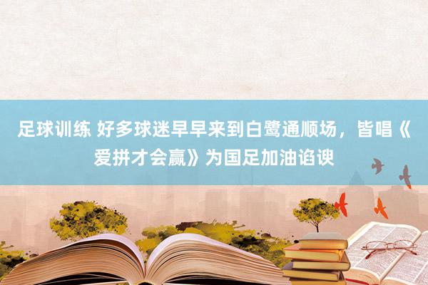 足球训练 好多球迷早早来到白鹭通顺场，皆唱《爱拼才会赢》为国足加油谄谀