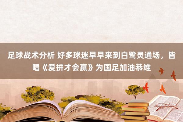 足球战术分析 好多球迷早早来到白鹭灵通场，皆唱《爱拼才会赢》为国足加油恭维