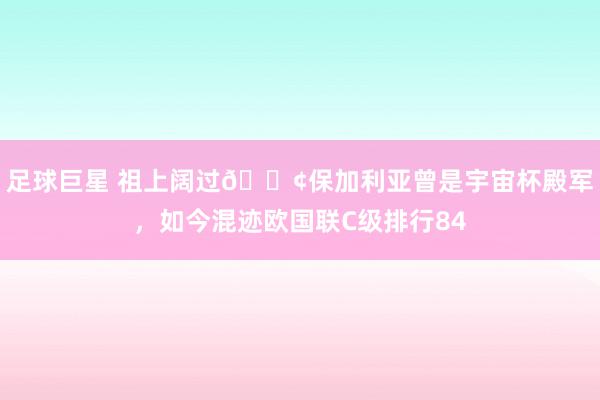 足球巨星 祖上阔过😢保加利亚曾是宇宙杯殿军，如今混迹欧国联C级排行84