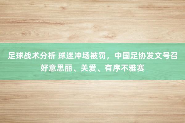 足球战术分析 球迷冲场被罚，中国足协发文号召好意思丽、关爱、有序不雅赛