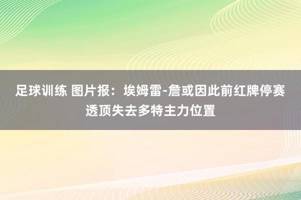 足球训练 图片报：埃姆雷-詹或因此前红牌停赛透顶失去多特主力位置