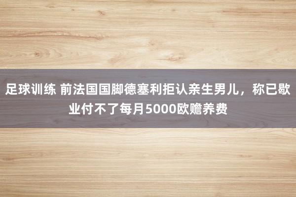 足球训练 前法国国脚德塞利拒认亲生男儿，称已歇业付不了每月5000欧赡养费