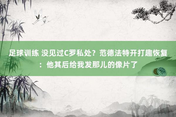 足球训练 没见过C罗私处？范德法特开打趣恢复：他其后给我发那儿的像片了