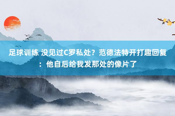 足球训练 没见过C罗私处？范德法特开打趣回复：他自后给我发那处的像片了