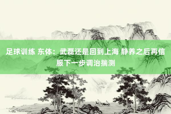 足球训练 东体：武磊还是回到上海 静养之后再信服下一步调治揣测