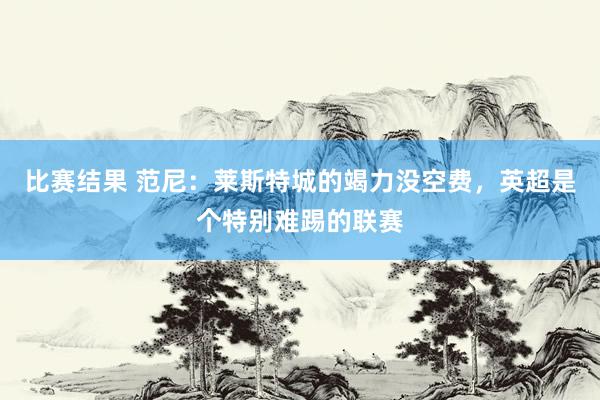 比赛结果 范尼：莱斯特城的竭力没空费，英超是个特别难踢的联赛